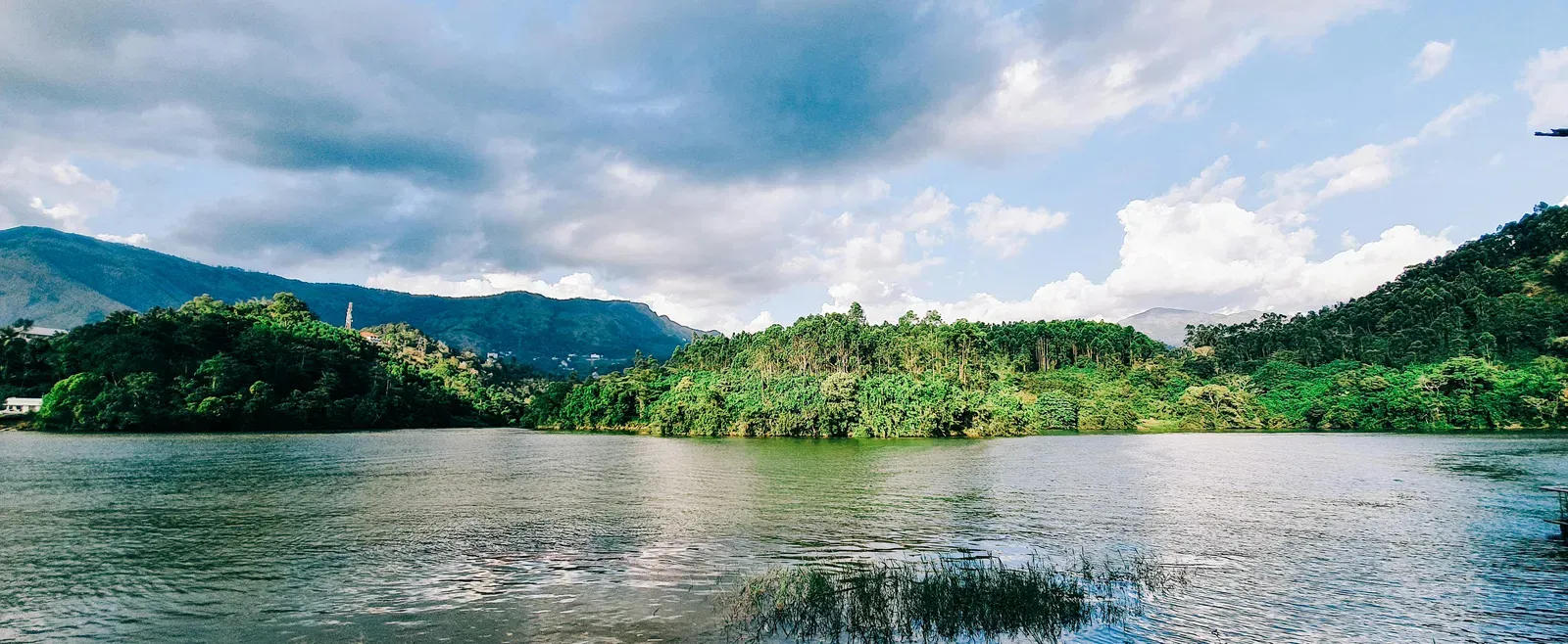 Scenic view of a lake surrounded by trees all around during the day.