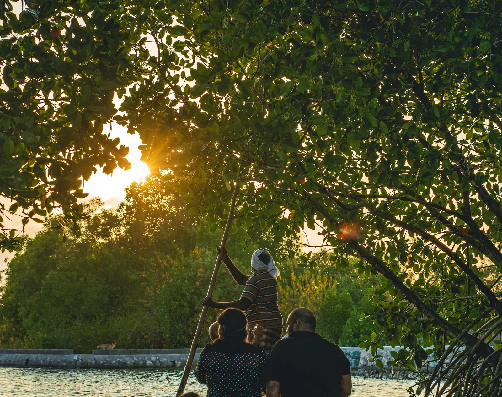 People on the boat passing by Mangroves at sunset.