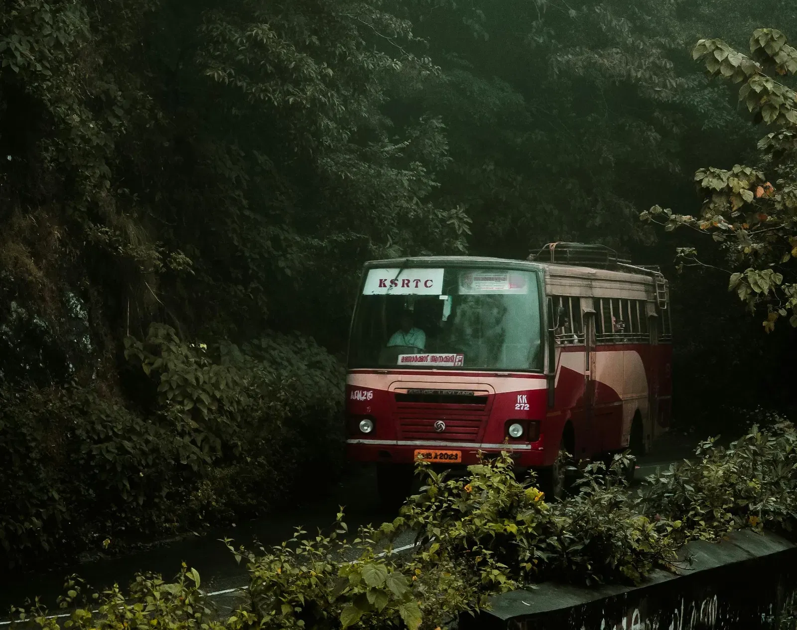 A red bus travelling through a lush green forest.