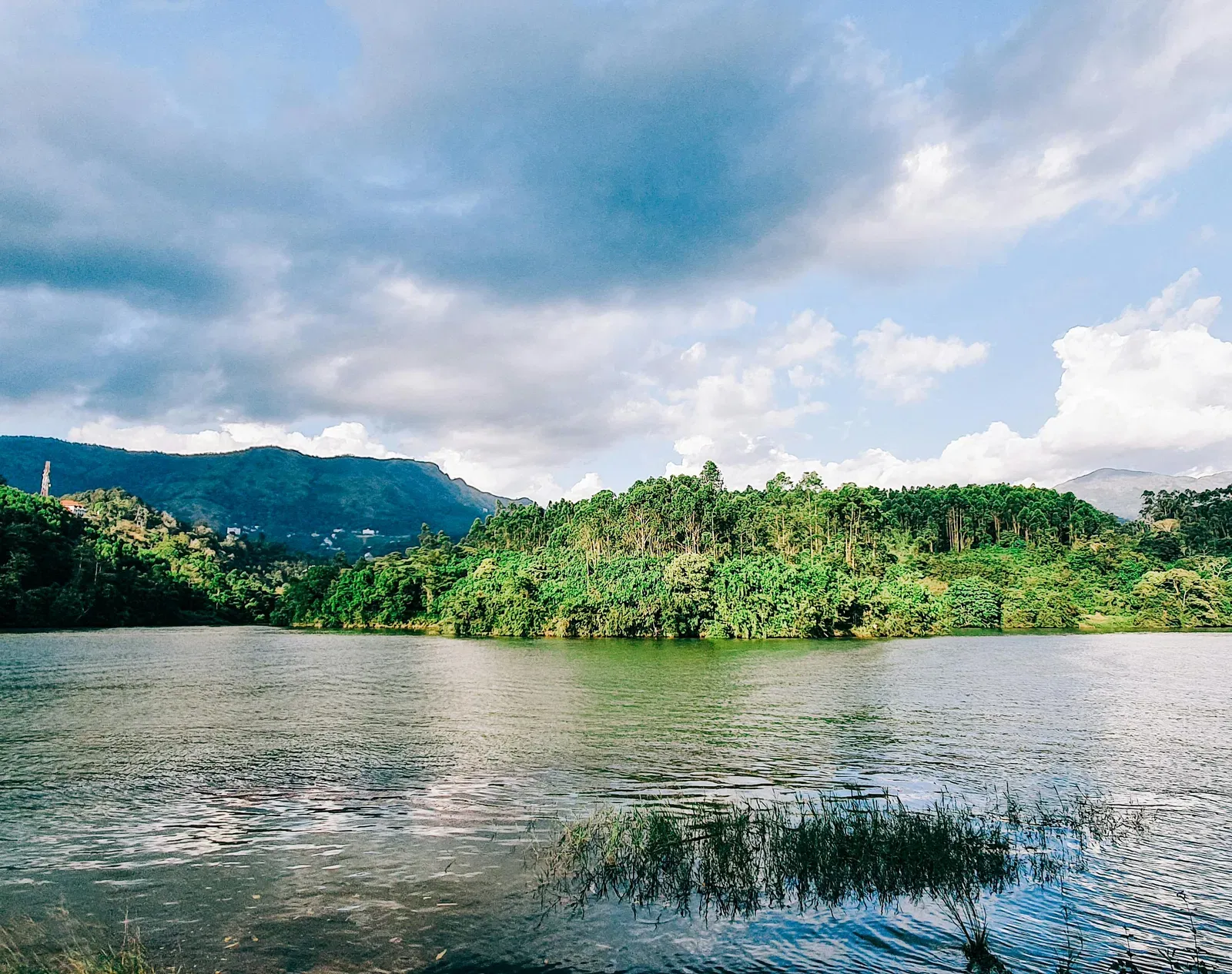 Scenic view of a lake surrounded by trees all around during the day.