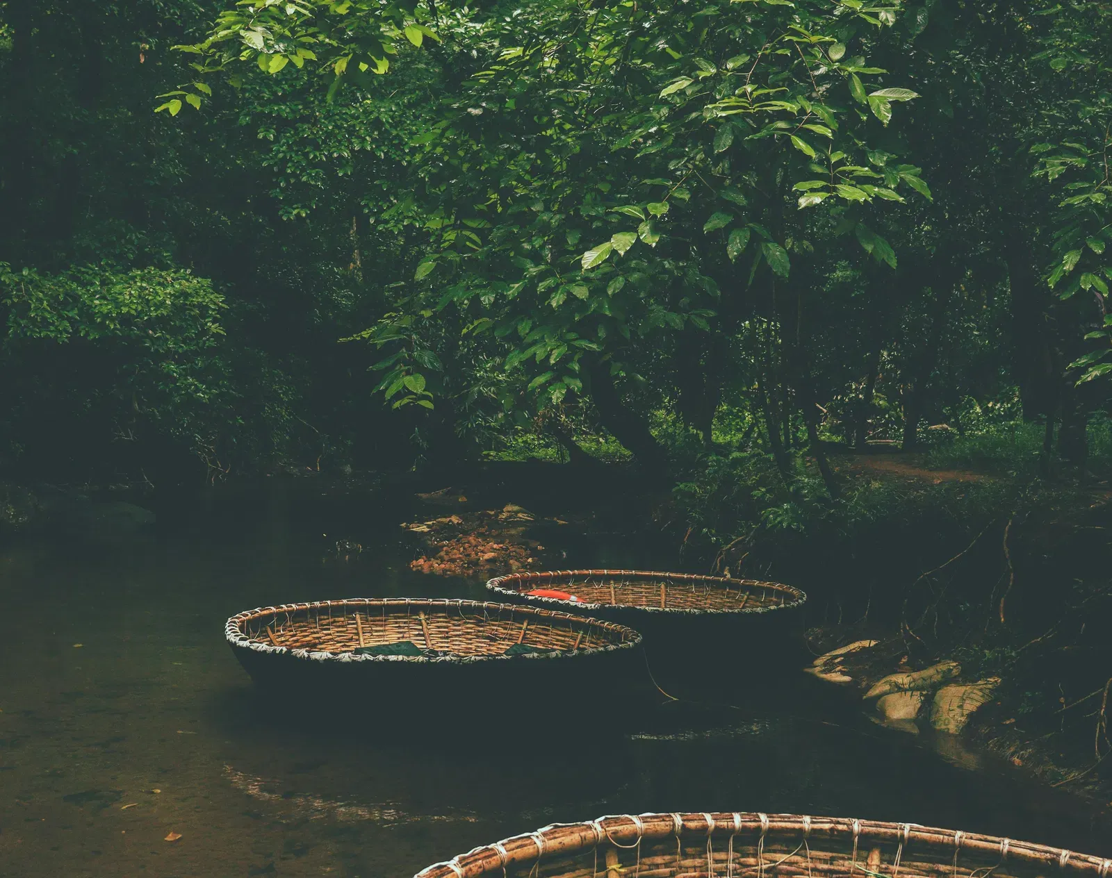 Bamboo boats in a lake with trees all around.