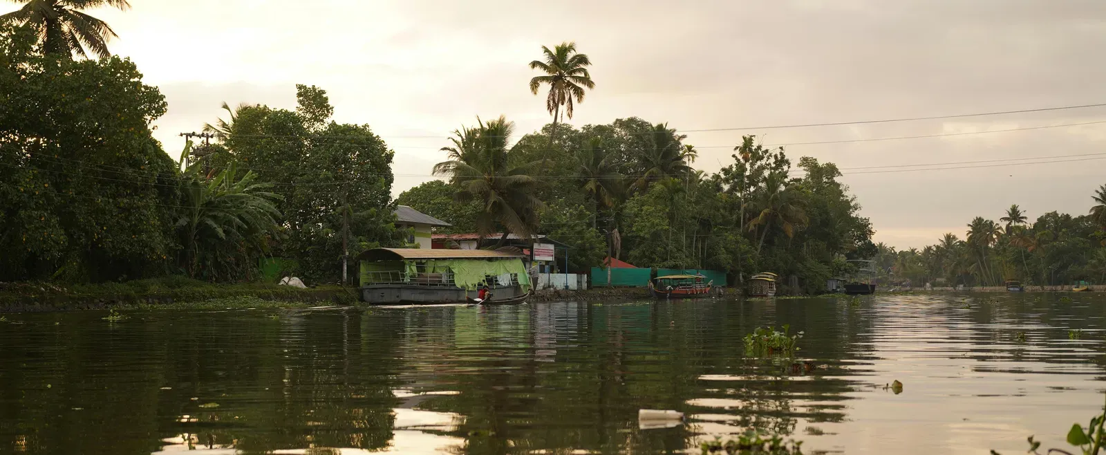 Scenic view of lake surrounded by trees.